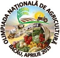 logo310.png